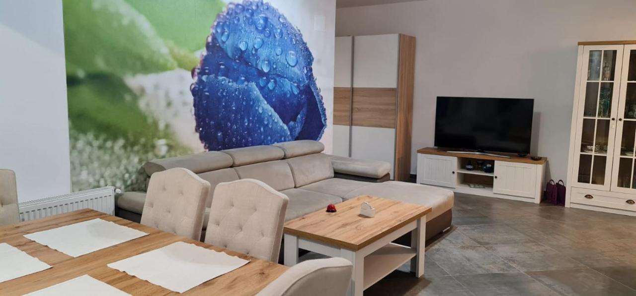 Apartament Fiore Blu Năvodari Kültér fotó